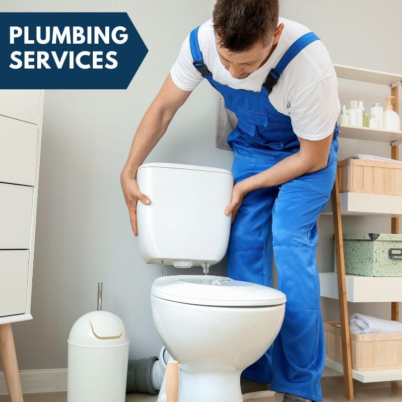 Plumbing Company in Willis, MI